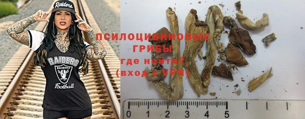 спайс Богданович